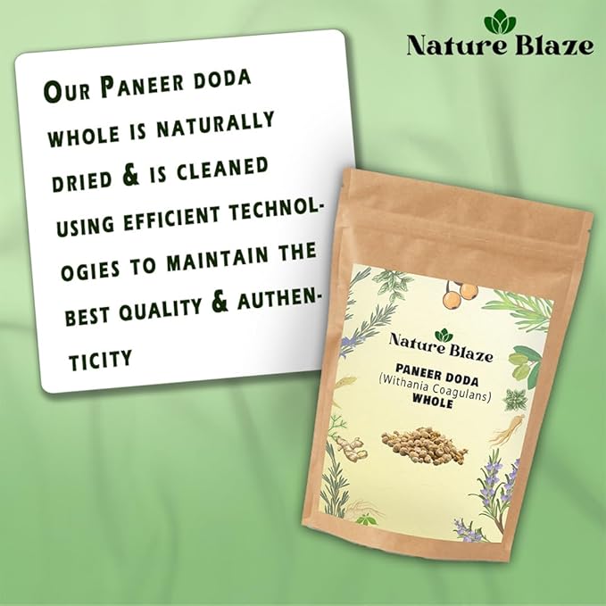 Nature Blaze Ayurveda Paneer Phool | Paneer Doda/DODI | Withania Coagulans Whole 7.0 Oz (200Gm / 0.44lb)