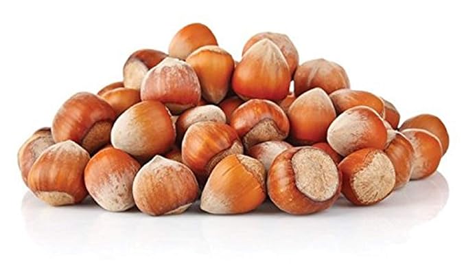 Raw In Shell Filberts/Hazelnuts (1 Lbs.) - Vegan & Keto Friendly - Super Crunchy & Delicious - Natural jumbo Oregon Filberts/Hazelnuts - Packed with Nutrients - Farm Fresh Nuts Brand