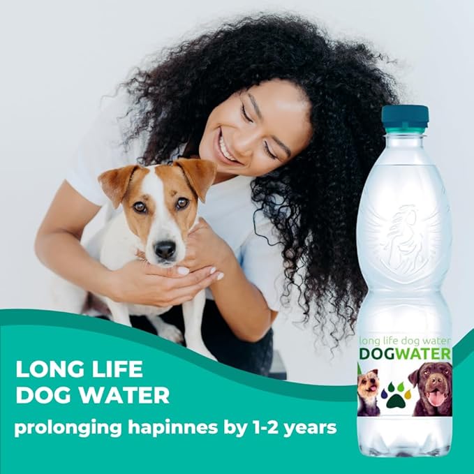 Daily Spring Canine Water, pH-Balanced Water for Dogs, Helps with Electrolytes for Dogs & Improve Dog Hydration, Mineral-Free - 12-Pack