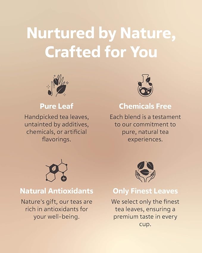 LOVARE Cleopatra?셲 Night Loose Leaf Tea Sampler 80 g ??Made in Ukraine ??Green Tea, Pineapple, Apple, Rose Buds and Petals, Calendula, Safflower, and More with 15 Paper Filters