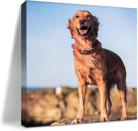 LADYPAW Ship Next Day Custom Canvas Prints with Your Photos (Framed 16x16) Personalized Photo Canvas Print Wall Art Customized Picture Gifts for Family/Pet/Wedding/Baby/Dog Home Decor & Keepsake