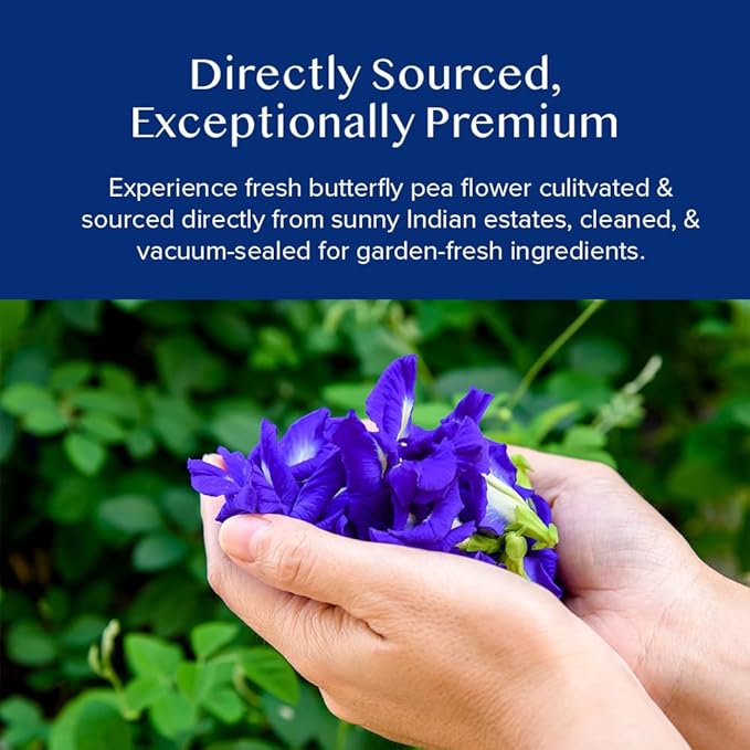 VAHDAM, Butterfly Pea Flower Tea (1.76oz) 100+ Cups | Delicate & Earthy | Vacuum Sealed for Freshness | Butterfly Pea Flower Loose Leaf | Brew Iced Tea, Cooking, Mocktails & Cocktails