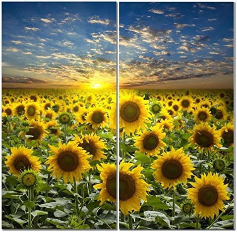 Sunflower Canvas Wall Art Decor - 2 Piece Set, Decorative Multi Panel Split Prints - Flower Field Landscape Picture for Living Room, Kitchen, Bedroom, Office & Home Decor Gift