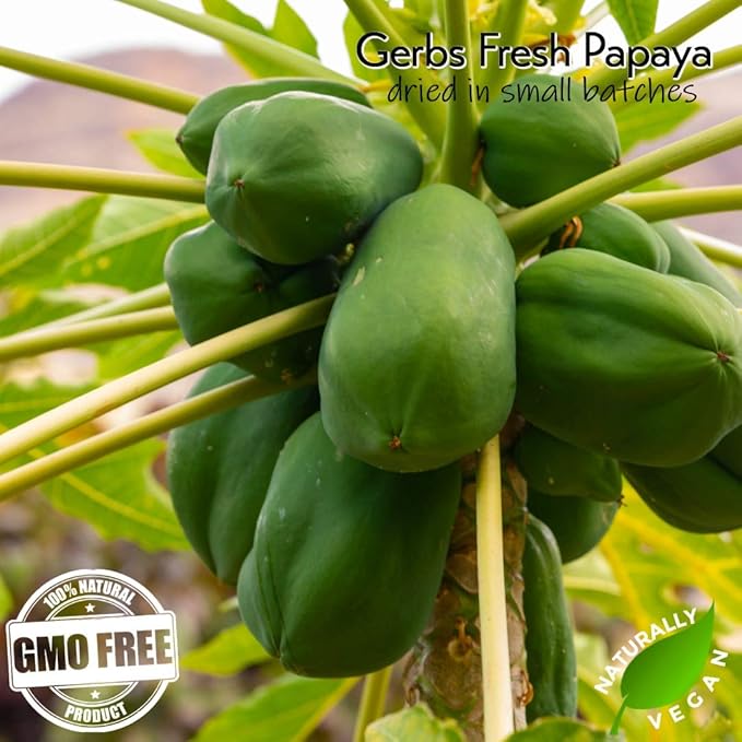 Gerbs Lightly Sweetened Dried Papaya Cubes 2 lbs. | Unsulfured, No Additives, Resealable Bag | Naturally Sweet & Chewy | Top 14 Allergen-Free