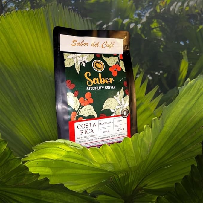 Sabor del Café ??Costa Rican Coffee Whole Bean, Medium Roast ??Specialty Coffee, Honey Processed for Sweetness ??100% Organic, Marsellesa Varietal, Aromatic & Smooth Flavor, 2x250g