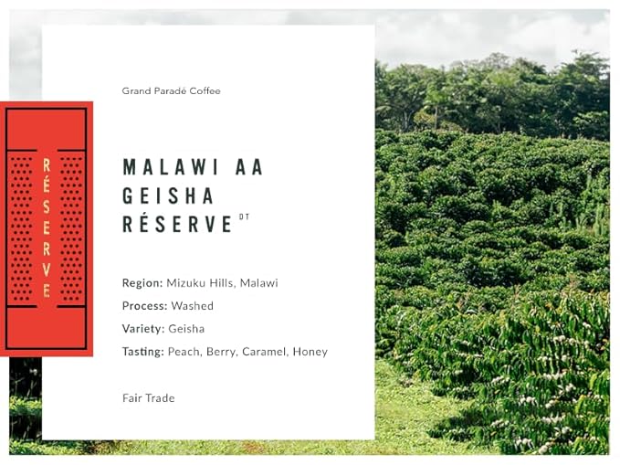 Grand Parade Coffee, 5 Lbs Geisha Unroasted Green Coffee Beans, Malawi AA Single Origin, Specialty Arabica - Fair Trade