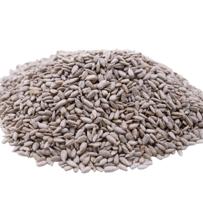 Unsalted Sunflower Seed Kernels by Gerbs – 2 LBS - Top 11 Food Allergen Free & Non GMO - Premium Dry Roasted Shelled Sunflower Seeds – COG USA