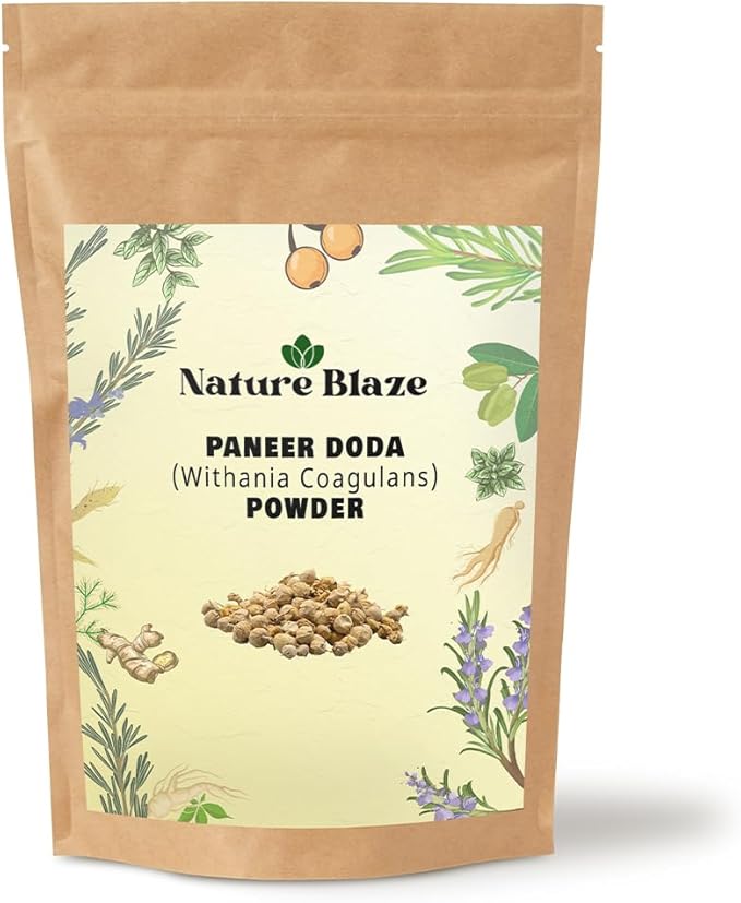 Nature Blaze Ayurveda Paneer Phool | Paneer Doda/DODI | Withania Coagulans Powder 17.6 Oz (500Gm / 1.10lb)