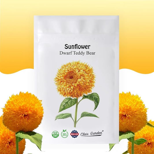 Sunflower Seeds - Teddy Bear - 50 Seeds - Heirloom, Non-GMO, USA Grown, Excellent for Pollinators