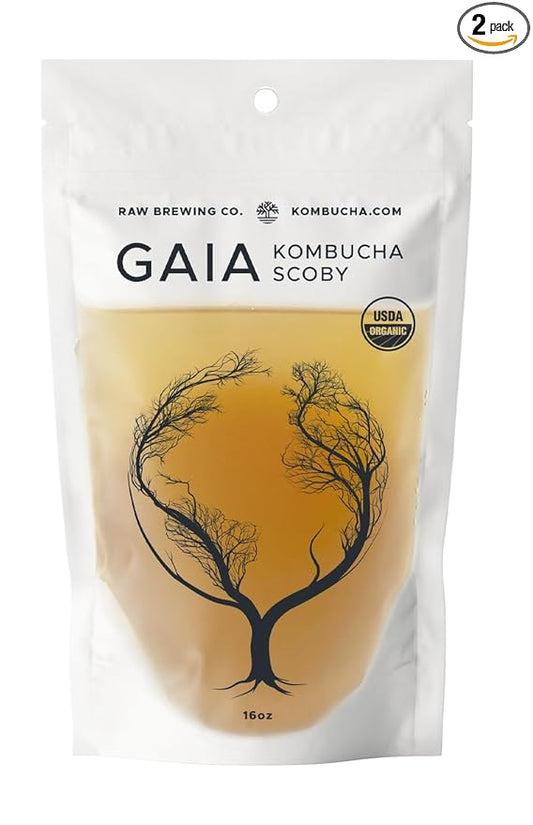 'Big Ole Booch' 2 x Certified Organic Kombucha Scobys (Gaia) + SUPER STRONG starter liquid. 16 oz. Makes 1 or 2 Gallons. Includes FREE Kombucha.com Organic Mixed Tea Blend Sample.