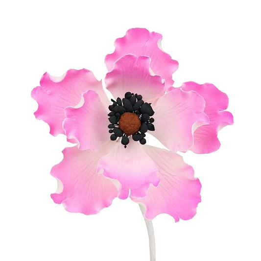 O'Creme Anemone Gumpaste Sugar Flower, 3-1/4 Inch - for Cake Decorating - Sugar Paste Decorations for Cakes, Cupcake Toppers - Birthday, Wedding, Valentines, Baby Shower - Set of 6 - Pink
