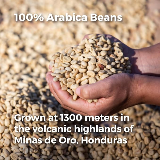 Don Memo Honduras Single-Origin Dark Roast Coffee Beans ??Low Acid, Shade-Grown Arabica (Whole Bean, 12 oz) ??Sustainably Farmed
