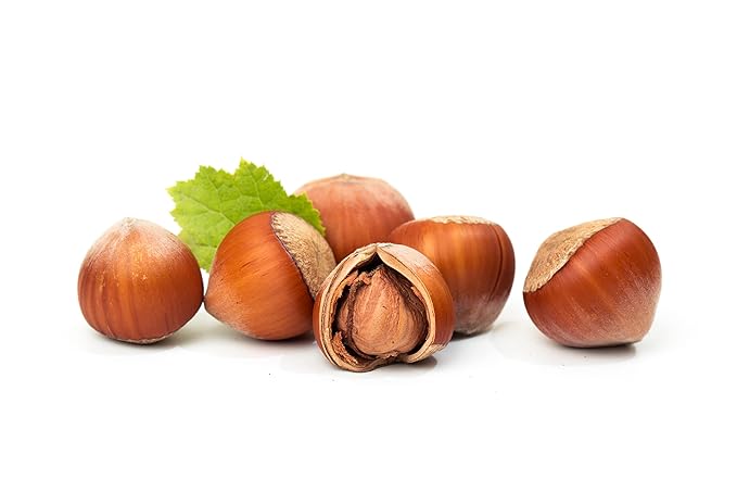 Natural In Shell Raw Oregon Filberts/Hazelnuts (5 Lbs.) - Vegan & Keto Friendly - Super Crunchy & Delicious - Packed with Nutrients - Farm Fresh Nuts Brand