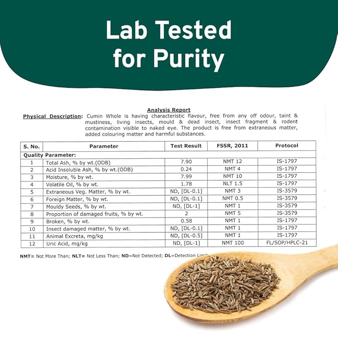 SPICE TRAIN Cumin Seeds (397g/14oz) Non GMO, Gluten Free, 100% Raw, Sourced from India, Excellent Flavor, Aromatic, For Tempering, Spice Blends and Seasonings, Packed in Resealable Ziplock Pouch