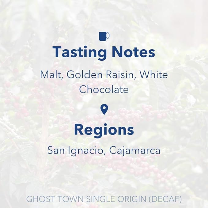 PARTNERS COFFEE ROASTERS - Whole Bean Coffee (Ghost Town - Decaf, Medium Roast) 12oz - Decaf Coffee via Mountain Water - Malt, Golden Raisin, White Chocolate - Coffee Beans - Roasted in New York City