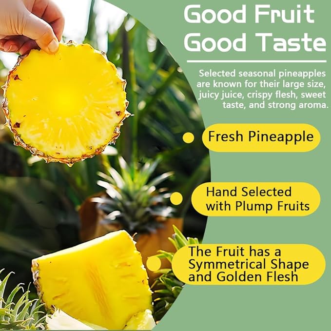 Freeze-Dried Pineapple Chips - 7.4 oz (200g) | 100% Natural Fruit, No Sugar Added | Vegan, Gluten-Free, Kosher Certified | Crunchy Tropical Snack, Sweet Crispy Snack