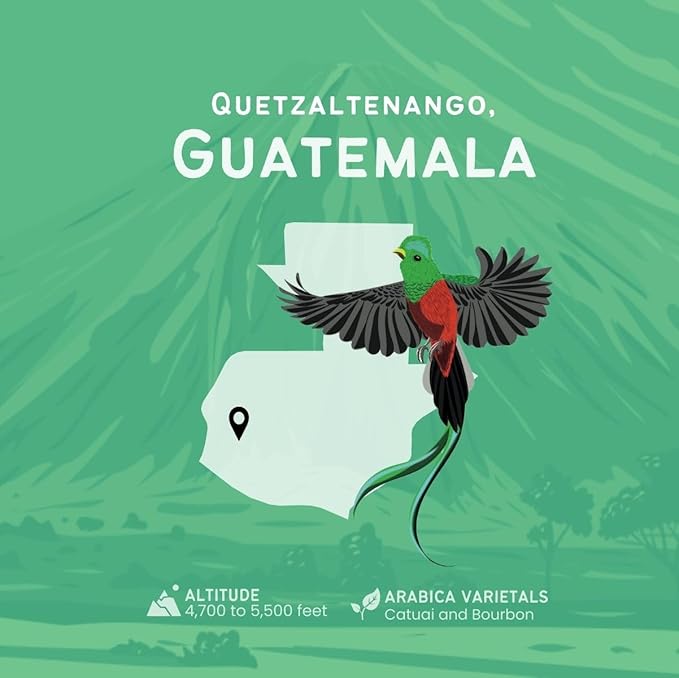 Canopy Point Coffee Guatemala medium air roasted coffee beans - whole bean & ground, specialty small batch roasted to order with maple & nut aroma, unique gourmet pour over (Whole Bean Bulk: 5lbs)