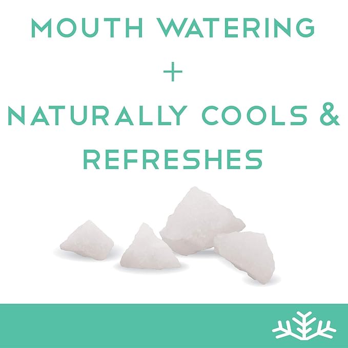 SN횠 Lemon & Wintergreen Xylitol Candy Chips - SN횠 (1LB Bag x 2) - Sugar-Free Candy With Only 2 Ingredients | Pure Birch Xylitol | Low Carbs, Diabetic-Friendly, Non-GMO, Vegan, GF & Kosher