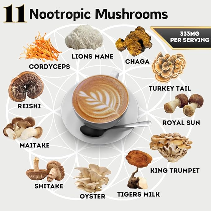 Organic Mushroom Coffee with Cacao ??11x Adaptogenic Mushrooms for Focus, Clarity & Energy ??Lion?™s Mane, Reishi, Chaga + Nootropic Superfood by OhmYes (7oz) - 99 Servings