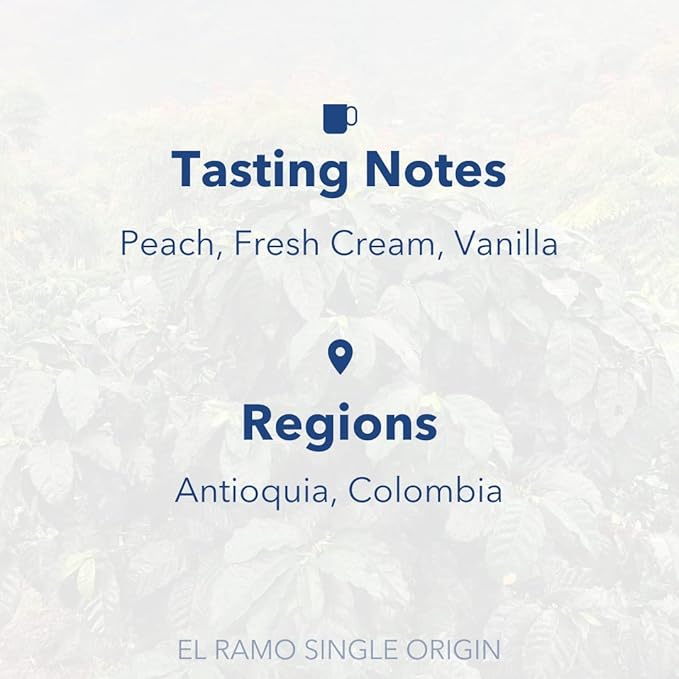 PARTNERS COFFEE ROASTERS - Whole Bean Coffee (El Ramo - Colombian, Light Roast) 12oz - Sweet, Nuanced Colombian Blend - Peach, Fresh Cream, Vanilla - Whole Coffee Beans - Roasted in New York City