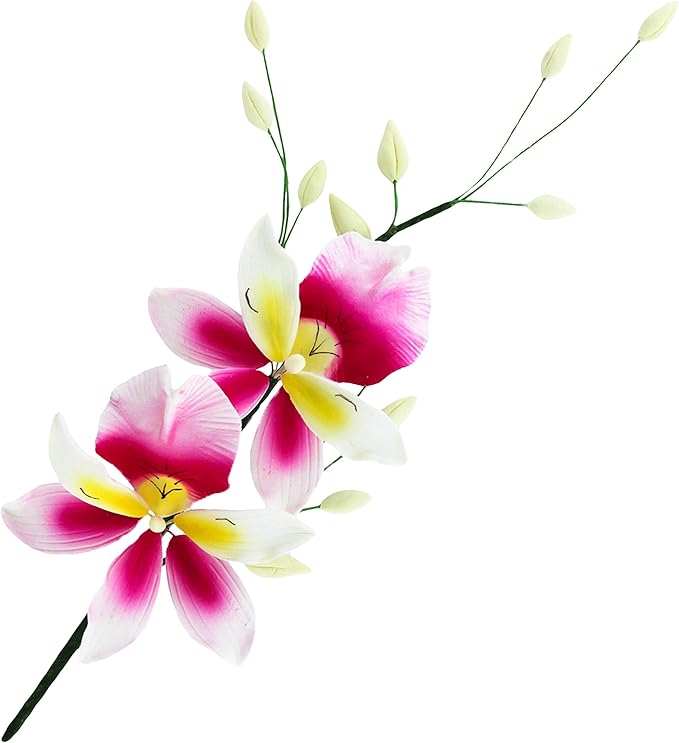 Global Sugar Art Double Orchid Spray Sugar Cake Flowers, Dark Pink & Yellow, 1 Count by Chef Alan Tetreault