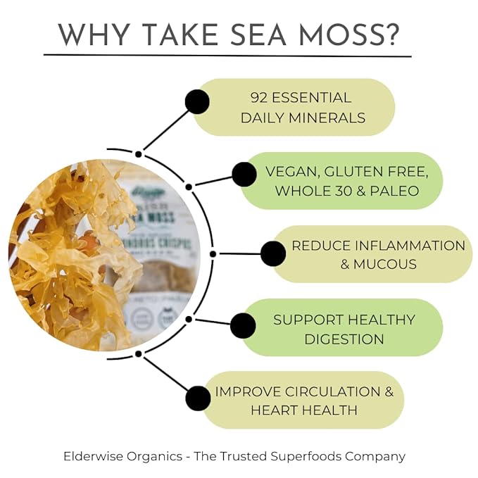 IRISH Sea Moss from Ireland | WILDCRAFTED | Chondrus Crispus | Raw Irish Moss | Golden