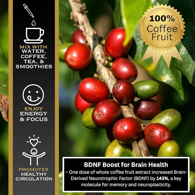 Javaberry Coffee Fruit Extract ??Brain Supplement for Focus, Memory & Clarity ??Supports BDNF & Mental Energy ??Natural Antioxidant Nootropic Liquid with Polyphenols ??60ml (30 Servings)