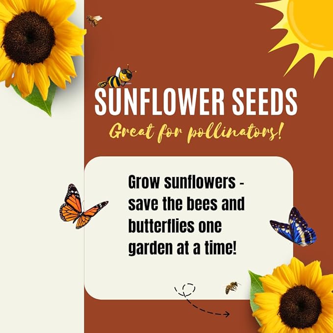 Sunflower Seeds for Planting - to Plant a Mix of Sunflowers Velvet Queen, Autumn Beauty, Dwarf Sunflower, Sunspot, Mammoth, Teddy Bear, Lemon Queen, and Sungold.