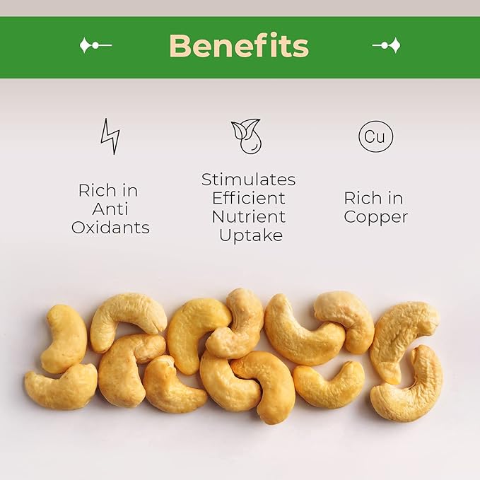 Sincerely Nuts ??Whole Cashews - Roasted and Unsalted | High in Protein Everyday Healthy Snack - Rich in Nutrients |Vegan, Keto & Kosher | Gourmet Quality Vegan Cashew - 2 (LB). Bag