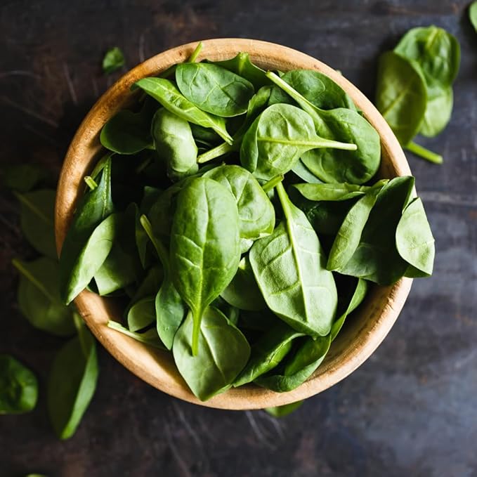 Olive & Vine Basil Leaves, Fresh Herbal Flavor, Seasoning for Pasta, Pesto, Salads, Rich Tradition, Authentic Taste, For Global Recipes (0.64 Ounce)