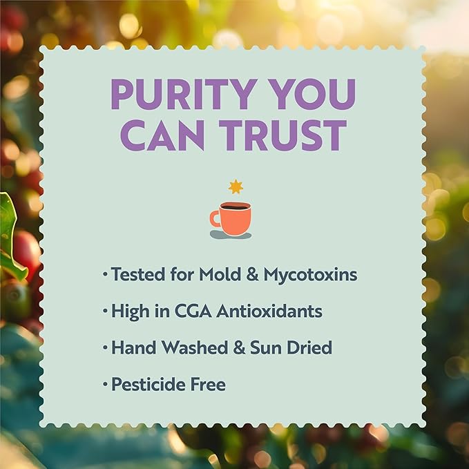 Clean Coffee Co. - Low Acid Medium Roast, Tested for Molds and Toxins, Costa Rica Blend, Notes of Milk Chocolate, Roasted Nuts, Toasted Malt (Ground, 12 oz Bag)