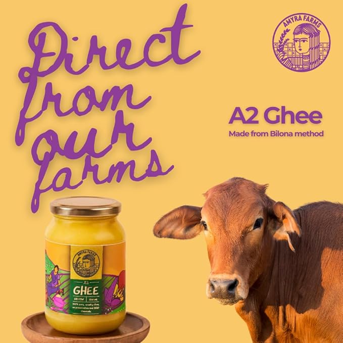 Amyra Farms Organic A2 Ghee - 1 Pound | Grass-Fed Gir Cow Ghee, Handcrafted Bilona, Pure & Nutrient-Rich | Traditional, Natural, Healthy | Keto, Lactose and Casein Free | Clarified Butter (16 Ounces)