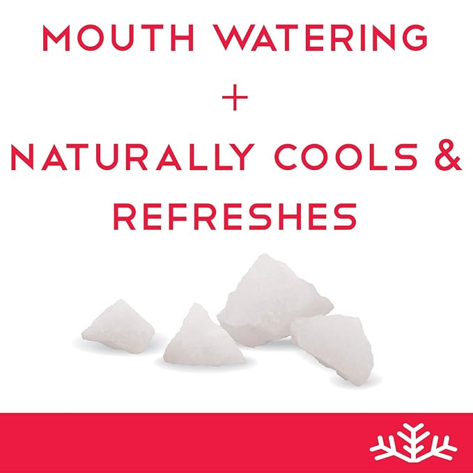 SN횠 Watermelon & Strawberry Xylitol Candy Chips - SN횠 (1LB Bag x 2) - Sugar-Free Candy With Only 2 Ingredients | Pure Birch Xylitol | Low Carbs, Diabetic-Friendly, Non-GMO, Vegan, GF & Kosher