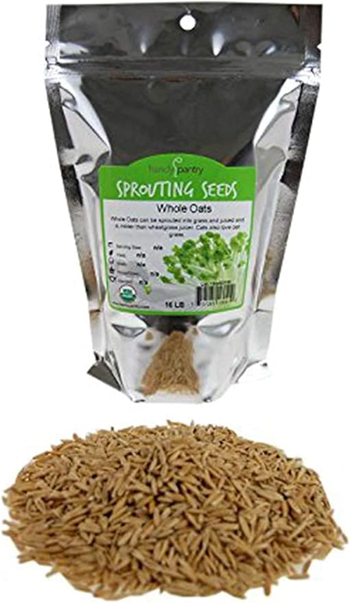 Organic Non-GMO Whole Oat Grain Seeds (With Husk Intact)- 1 Lb Re-Sealable Pouch- Oats Seed Grains, for Sprouting, Oat Grass, Animal Feed, Storage & More