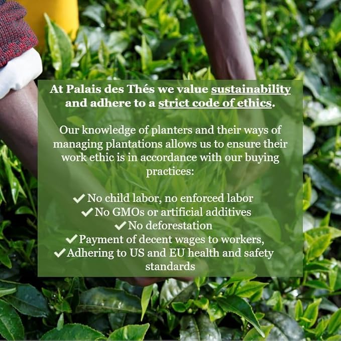 Palais des Th챕s - Organic Sencha Ariake - Japanese Green Tea - 20 Cotton Tea Bags, Serves 20 Cups