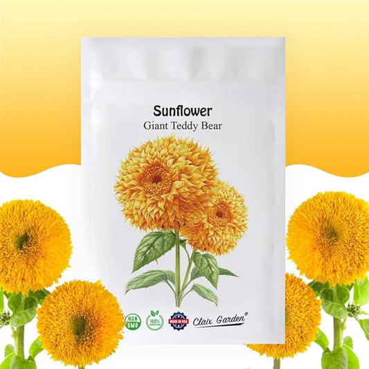 Sunflower Seeds - Giant Teddy Bear - 50 Seeds - Heirloom, Non-GMO, USA Grown, Excellent for