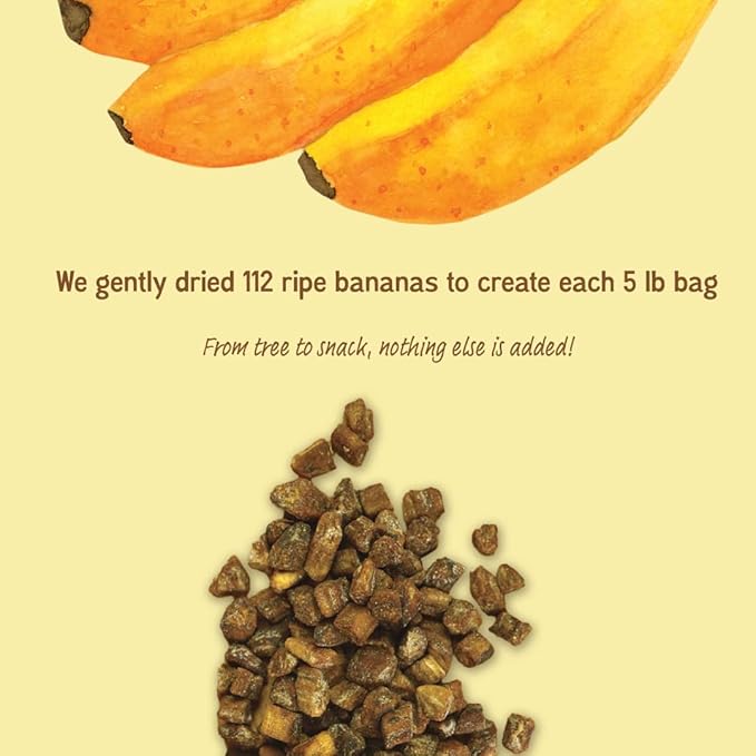 Oso Snacks Dried Organic Banana Bits Slices. Dark and Sweet | 5LB Bulk Bag| No Sugar Added | No Preservatives | 100% Fruit | No GMO | Simply Fruit. Simply Delicious.