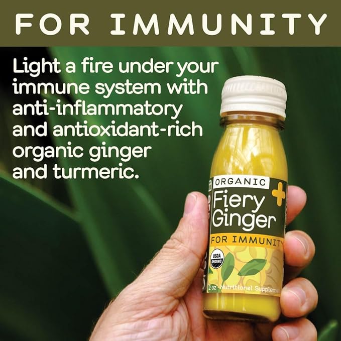 Greenhouse Juice Organic Fiery Ginger Wellness Shots 24-Count 60ml Glass Bottles | Vegan & Gluten-Free
