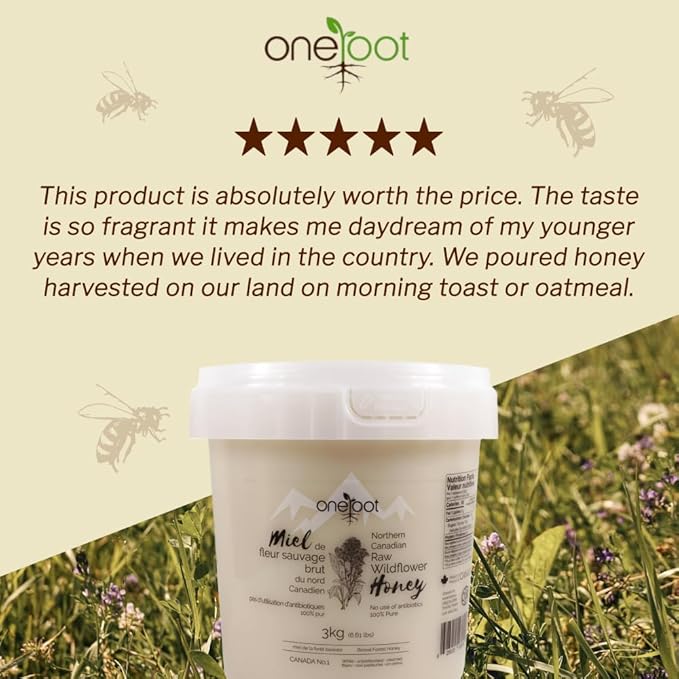 Oneroot 100% Canadian Flower Honey - Honey Wildflower Unfiltered, Unheated & Creamed, Nutrient Rich Raw Wildflower With Enzymes, Thick Natural Sweetener (6.6 lbs)