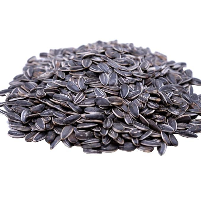 Lightly Sea Salted Sunflower Seed in Shell by Gerbs - 2 LBS - Top 11 Food Allergen Free & Non GMO - Premium Dry Roasted Seeds – COG USA