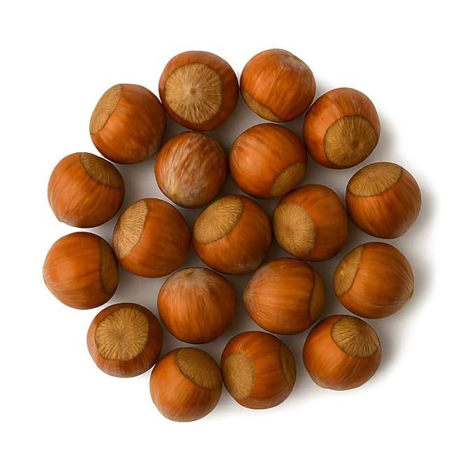 Crazy Nuts | Oregon Grown Large Raw Hazelnuts In Shell, 10lb | Whole Hazelnuts to Eat and for Wildlife, Avellanas Naturales