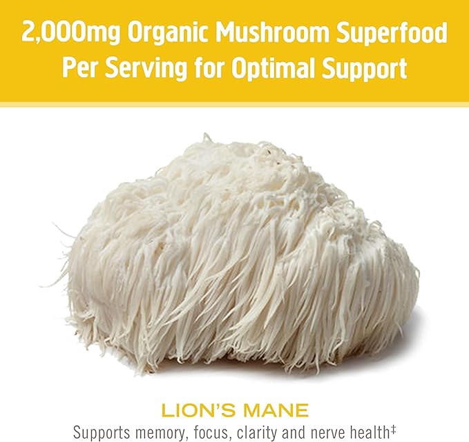 OM MUSHROOM SUPERFOOD Lion's Mane Mushroom Capsules Superfood Supplement, 180 Count, 60 Days, Fruit Body and Mycelium Nootropic for Memory Support, Focus, Clarity, Nerve Health, Creativity and Mood