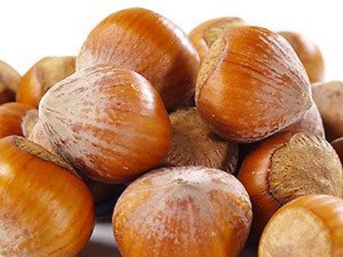 Raw In Shell Filberts/Hazelnuts (3 Lbs.) - Vegan & Keto Friendly - Super Crunchy & Delicious - Natural jumbo Oregon Filberts/Hazelnuts - Packed with Nutrients - Farm Fresh Nuts Brand