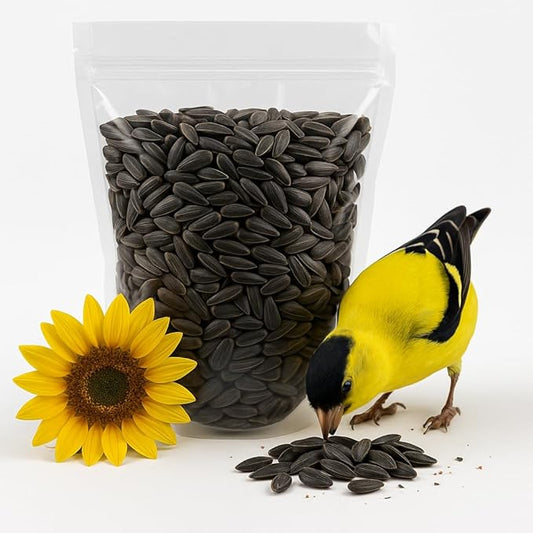 Crazy Nuts | Black Oil Sunflower Seeds for Birds, 10lb | Black Sunflower Seeds for Birds, Sunflower Bird Seed, Wild Bird Feed