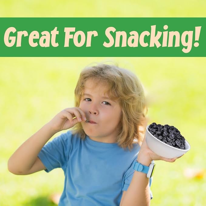 Sincerely Nuts Dried Blueberries (5 LB) Gluten-Free, Vegan & Kosher Snack - Fresh from USA - Bulk, Delicious Dried Fruit for all your Smoothies, Baking, Pancakes and Salads Needs