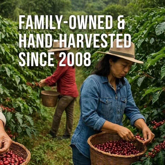 Don Memo Honduras Single-Origin Dark Roast Coffee Beans ??Low Acid, Shade-Grown Arabica (Whole Bean, 12 oz) ??Sustainably Farmed