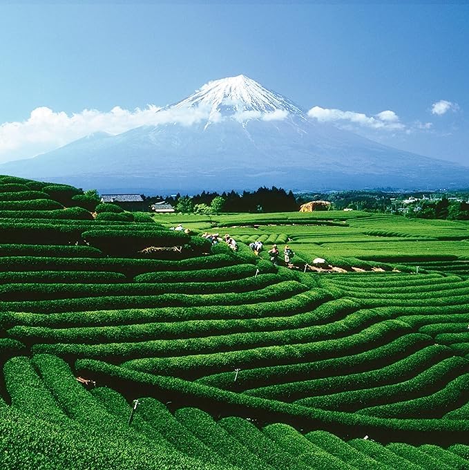 Palais des Th챕s - Organic Sencha Ariake - Japanese Green Tea - 20 Cotton Tea Bags, Serves 20 Cups