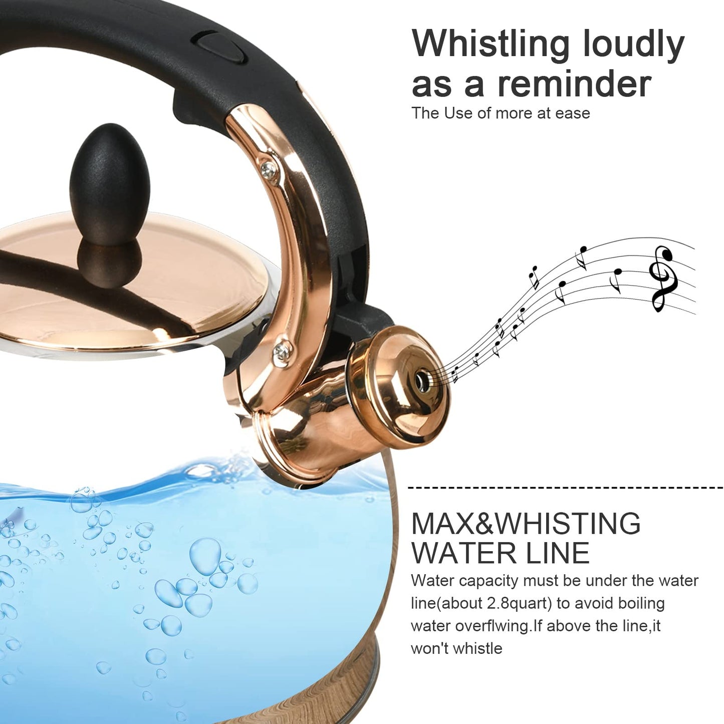 Stainless Steel Whistling Tea Kettle with Metal Capsulated Bottom for Quick Heat Distribution 2.8