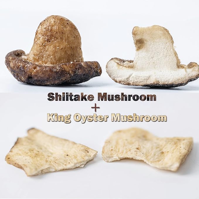 VIGOROUS MOUNTAINS Mushroom Chips Veggie Snacks, Dried Shiitake and King Oyster Good Salted Crisp Mix, Grocery Vegetable Snack Chip 8.82 Oz, 250 g