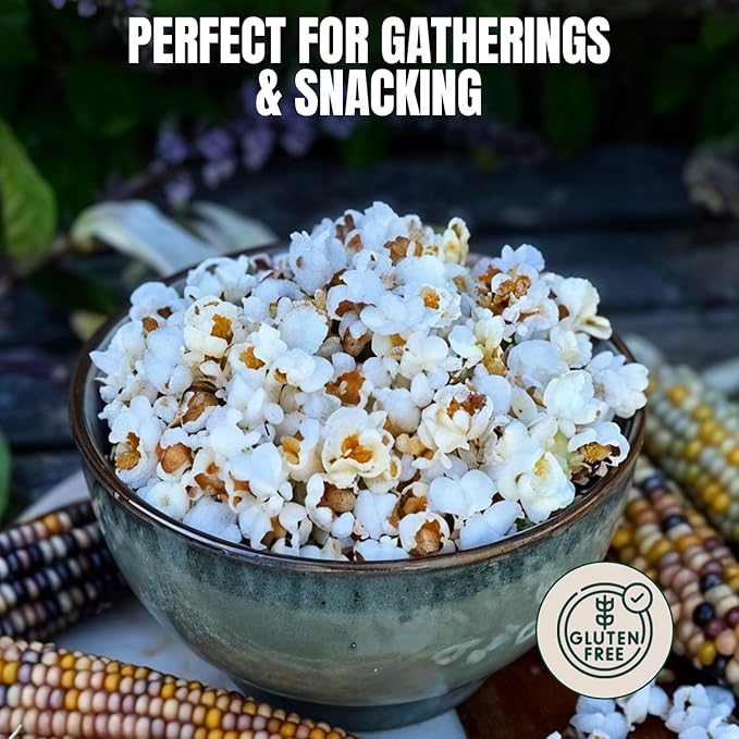 Marsh Hen Mill Indigo Popcorn Kernels | Vibrant Blue Kernels That Pop into Crisp White Flakes | Gluten-Free & Non-GMO | Healthy Snack for Gourmet Popcorn Lovers ??24 oz Bag (Pack of 1)
